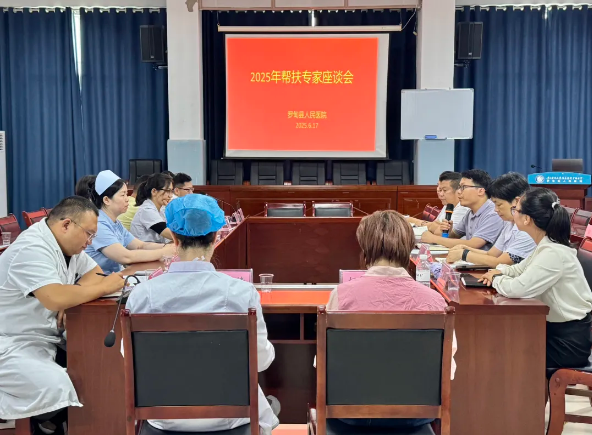 汇聚帮扶智慧，共绘健康蓝图 ——罗甸县人民医院组织召开医疗帮扶专家座谈会